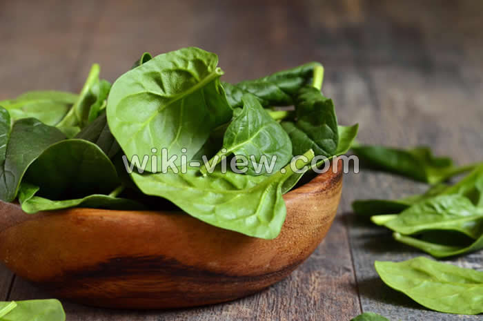 اسفناج و ماست, خواص اسفناج, مضرات اسفناج, طبع اسفناج, خواص اسفناج برای مو, اسفناج خام یا پخته؟, اسفناج پخته, خواص اسفناج برای لاغری, طریقه مصرف اسفناج, اسفناج و ماست, طبیعت اسفناج اسفناج و ماست, خواص اسفناج, مضرات اسفناج, طبع اسفناج, خواص اسفناج برای مو, اسفناج خام یا پخته؟, اسفناج پخته, خواص اسفناج برای لاغری, طریقه مصرف اسفناج, اسفناج و ماست, طبیعت اسفناج