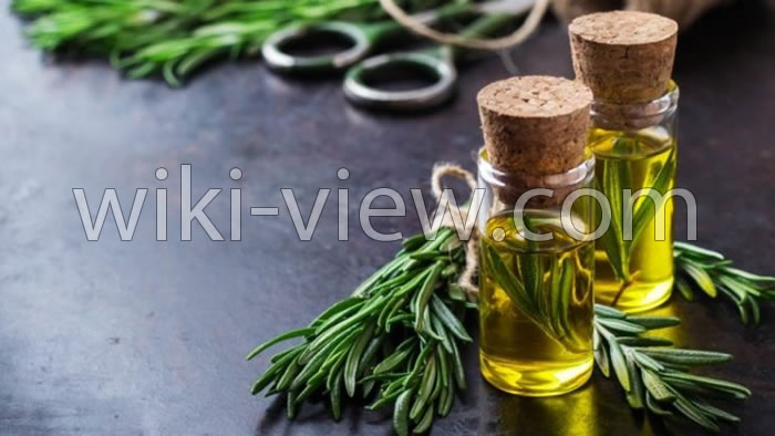 خواص روغن رزماری, مضرات روغن رزماری, طبع روغن رزماری, روغن رزماری برای صورت, روغن رزماری برای ریش, روغن رزماری برای ابرو, طرز تهیه روغن رزماری, تشخیص روغن رزماری اصل خواص روغن رزماری, مضرات روغن رزماری, طبع روغن رزماری, روغن رزماری برای صورت, روغن رزماری برای ریش, روغن رزماری برای ابرو, طرز تهیه روغن رزماری, تشخیص روغن رزماری اصل