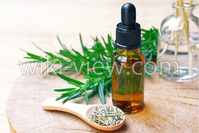 خواص روغن رزماری, مضرات روغن رزماری, طبع روغن رزماری, روغن رزماری برای صورت, روغن رزماری برای ریش, روغن رزماری برای ابرو, طرز تهیه روغن رزماری, تشخیص روغن رزماری اصل خواص روغن رزماری, مضرات روغن رزماری, طبع روغن رزماری, روغن رزماری برای صورت, روغن رزماری برای ریش, روغن رزماری برای ابرو, طرز تهیه روغن رزماری, تشخیص روغن رزماری اصل