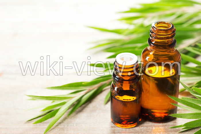 خواص روغن رزماری, مضرات روغن رزماری, طبع روغن رزماری, روغن رزماری برای صورت, روغن رزماری برای ریش, روغن رزماری برای ابرو, طرز تهیه روغن رزماری, تشخیص روغن رزماری اصل خواص روغن رزماری, مضرات روغن رزماری, طبع روغن رزماری, روغن رزماری برای صورت, روغن رزماری برای ریش, روغن رزماری برای ابرو, طرز تهیه روغن رزماری, تشخیص روغن رزماری اصل