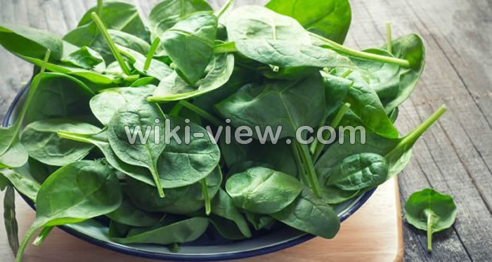 اسفناج و ماست, خواص اسفناج, مضرات اسفناج, طبع اسفناج, خواص اسفناج برای مو, اسفناج خام یا پخته؟, اسفناج پخته, خواص اسفناج برای لاغری, طریقه مصرف اسفناج, اسفناج و ماست, طبیعت اسفناج اسفناج و ماست, خواص اسفناج, مضرات اسفناج, طبع اسفناج, خواص اسفناج برای مو, اسفناج خام یا پخته؟, اسفناج پخته, خواص اسفناج برای لاغری, طریقه مصرف اسفناج, اسفناج و ماست, طبیعت اسفناج