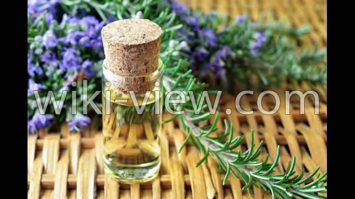 خواص روغن رزماری, مضرات روغن رزماری, طبع روغن رزماری, روغن رزماری برای صورت, روغن رزماری برای ریش, روغن رزماری برای ابرو, طرز تهیه روغن رزماری, تشخیص روغن رزماری اصل خواص روغن رزماری, مضرات روغن رزماری, طبع روغن رزماری, روغن رزماری برای صورت, روغن رزماری برای ریش, روغن رزماری برای ابرو, طرز تهیه روغن رزماری, تشخیص روغن رزماری اصل