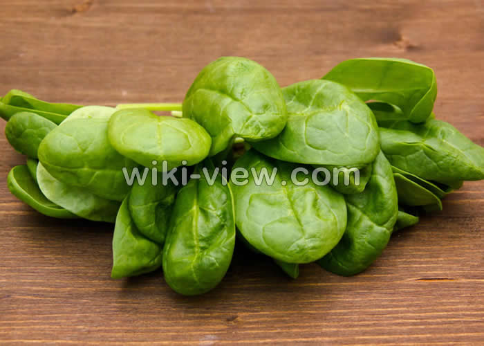 اسفناج و ماست, خواص اسفناج, مضرات اسفناج, طبع اسفناج, خواص اسفناج برای مو, اسفناج خام یا پخته؟, اسفناج پخته, خواص اسفناج برای لاغری, طریقه مصرف اسفناج, اسفناج و ماست, طبیعت اسفناج اسفناج و ماست, خواص اسفناج, مضرات اسفناج, طبع اسفناج, خواص اسفناج برای مو, اسفناج خام یا پخته؟, اسفناج پخته, خواص اسفناج برای لاغری, طریقه مصرف اسفناج, اسفناج و ماست, طبیعت اسفناج