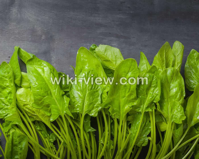 اسفناج و ماست, خواص اسفناج, مضرات اسفناج, طبع اسفناج, خواص اسفناج برای مو, اسفناج خام یا پخته؟, اسفناج پخته, خواص اسفناج برای لاغری, طریقه مصرف اسفناج, اسفناج و ماست, طبیعت اسفناج اسفناج و ماست, خواص اسفناج, مضرات اسفناج, طبع اسفناج, خواص اسفناج برای مو, اسفناج خام یا پخته؟, اسفناج پخته, خواص اسفناج برای لاغری, طریقه مصرف اسفناج, اسفناج و ماست, طبیعت اسفناج
