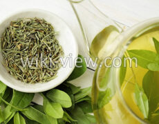چای سبز : خواص, مضرات, طبع چای سبز / فواید چای سبز برای کلیه