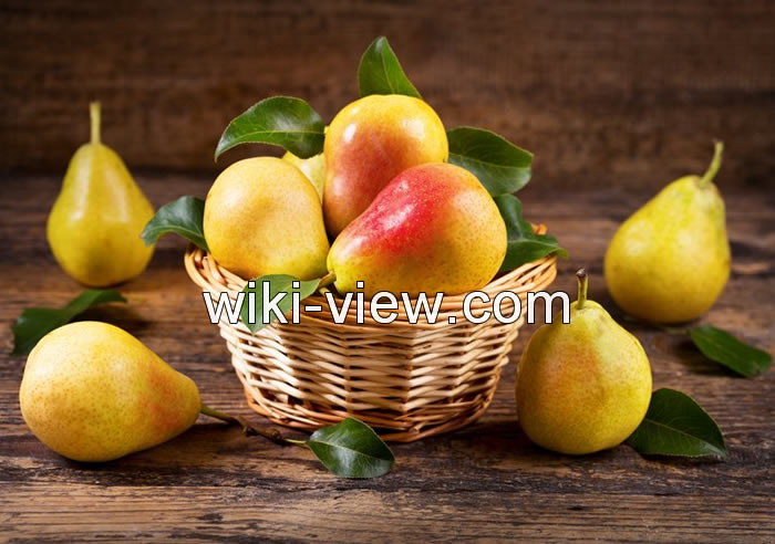 میگرن چیست, علائم میگرن, تشخیص میگرن, داروهای میگرن, خطرات میگرن, برای درمان میگرن چه بخوریم, قرص میگرن عصبی, میگرن درمان, میگرن عصبی چه علائمی دارد, درمان گیاهی میگرن میگرن چیست, علائم میگرن, تشخیص میگرن, داروهای میگرن, خطرات میگرن, برای درمان میگرن چه بخوریم, قرص میگرن عصبی, میگرن درمان, میگرن عصبی چه علائمی دارد, درمان گیاهی میگرن
