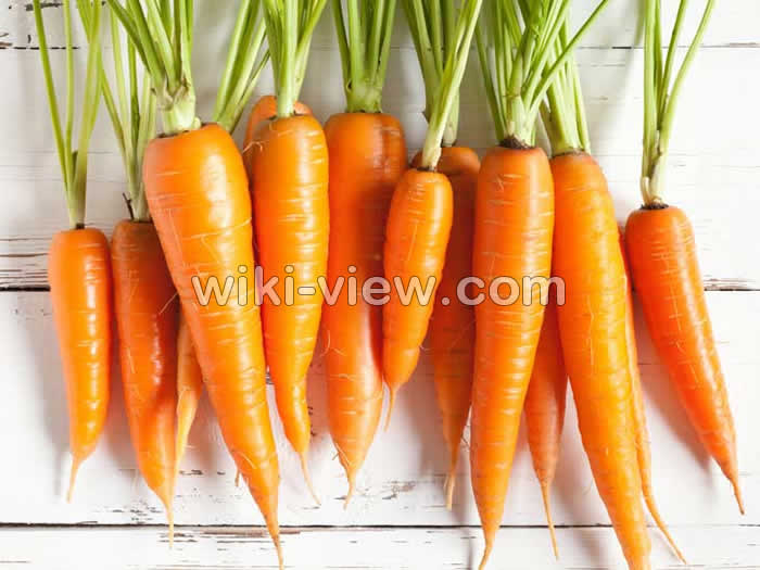 سفیدی مو, جلوگیری از سفیدی مو, ۱۰ ماده غذایی برای پیشگیری از سفیدی مو, علت سفید شدن مو از نوک, رفع سفیدی مو, جلوگیری از سفید شدن مو, داروی سیاه شدن موی سفید, خوردن اسفناج برای جلوگیری از سفید شدن مو, خوردن حبوبات برای جلوگیری از سفید شدن مو, خوردن تخم مرغ برای جلوگیری از سفید شدن مو, خوردن زردچوبه برای جلوگیری از سفید شدن مو, خوردن غذاهای دریایی برای جلوگیری از سفید شدن مو, خوردن جگر و گوشت قرمز برای جلوگیری از سفید شدن مو, خوردن توت و تمشک و بری برای جلوگیری از سفید شدن مو, خوردن هویچ برای جلوگیری از سفید شدن مو, خوردن موز برای جلوگیری از سفید شدن مو, خوردن قارچ برای جلوگیری از سفید شدن مو سفیدی مو, جلوگیری از سفیدی مو, ۱۰ ماده غذایی برای پیشگیری از سفیدی مو, علت سفید شدن مو از نوک, رفع سفیدی مو, جلوگیری از سفید شدن مو, داروی سیاه شدن موی سفید, خوردن اسفناج برای جلوگیری از سفید شدن مو, خوردن حبوبات برای جلوگیری از سفید شدن مو, خوردن تخم مرغ برای جلوگیری از سفید شدن مو, خوردن زردچوبه برای جلوگیری از سفید شدن مو, خوردن غذاهای دریایی برای جلوگیری از سفید شدن مو, خوردن جگر و گوشت قرمز برای جلوگیری از سفید شدن مو, خوردن توت و تمشک و بری برای جلوگیری از سفید شدن مو, خوردن هویچ برای جلوگیری از سفید شدن مو, خوردن موز برای جلوگیری از سفید شدن مو, خوردن قارچ برای جلوگیری از سفید شدن مو