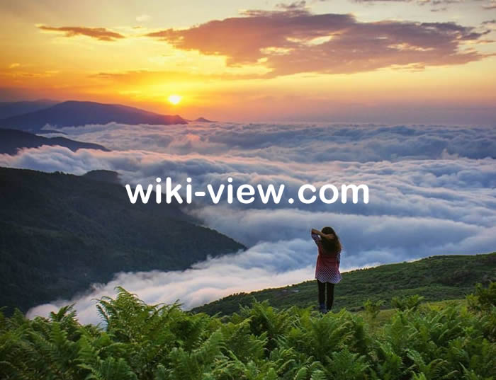 جنگل ابر, جنگل ابر شاهرود در تابستان, جنگل ابر گیلان, سفرنامه جنگل ابر, تور جنگل ابر, جنگل ابر مازندران, جاده جنگل ابر به علی آباد کتول, هتل جنگل ابر, جنگل ابر شاهرود در زمستان