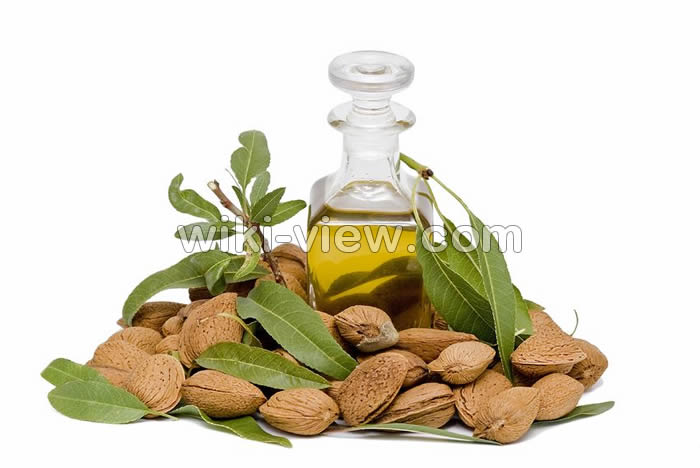 خواص روغن بادام, مضرات روغن بادام, طبع روغن بادام, خواص روغن بادام تلخ برای مو, مضرات روغن بادام تلخ برای مو, ماسک روغن بادام تلخ, روغن بادام تحل برای ابرو, طرز استفاده از روغن بادام شیرین برای پوست, خواص روغن بادام تلخ برای لک صورت, مضرات روغن بادام تلخ برای پوست صورت خواص روغن بادام, مضرات روغن بادام, طبع روغن بادام, خواص روغن بادام تلخ برای مو, مضرات روغن بادام تلخ برای مو, ماسک روغن بادام تلخ, روغن بادام تحل برای ابرو, طرز استفاده از روغن بادام شیرین برای پوست, خواص روغن بادام تلخ برای لک صورت, مضرات روغن بادام تلخ برای پوست صورت