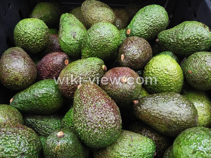آووکادو, آووکادو چیست, فواید آووکادو, مضرات آووکادو, طبع آووکادو, طعم آووکادو, آووکادوی رسیده, خواص آووکادو برای رحم, خواص آووکادو برای پوست, هسته آووکادو, آووکادو را چگونه مصرف کنیم, با آووکادو چی درست کنیم, هسته آووکادو را چگونه بخوریم