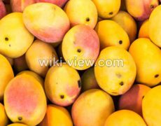 انبه : خواص, مضرات و طبع انبه / خواص انبه برای پوست و کودکان / هسته انبه