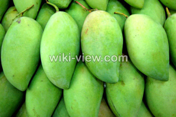 انبه, خواص انبه, مضرات انبه, طبع انبه, هسته انبه, خواص انبه برای پوست, خواص انبه برای کودکان, انبه در بارداری, انبه سبز, خواص شیر انبه انبه, خواص انبه, مضرات انبه, طبع انبه, هسته انبه, خواص انبه برای پوست, خواص انبه برای کودکان, انبه در بارداری, انبه سبز, خواص شیر انبه