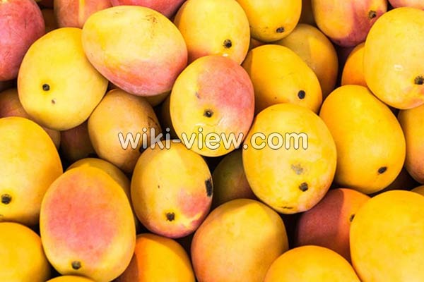 انبه, خواص انبه, مضرات انبه, طبع انبه, هسته انبه, خواص انبه برای پوست, خواص انبه برای کودکان, انبه در بارداری, انبه سبز, خواص شیر انبه انبه, خواص انبه, مضرات انبه, طبع انبه, هسته انبه, خواص انبه برای پوست, خواص انبه برای کودکان, انبه در بارداری, انبه سبز, خواص شیر انبه