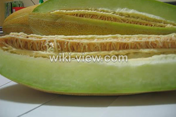 خربزه, خواص خربزه, مضرات خربزه, طبع خربزه, انواع خربزه, خربزه در بارداری, خواص خربزه برای لاغری, فواید خربزه برای چشم, خواص خربزه مشهدی, خربزه و عسل