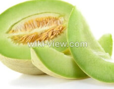 خربزه : خواص, مضرات و طبع خربزه / خواص خربزه برای لاغری / خربزه و عسل