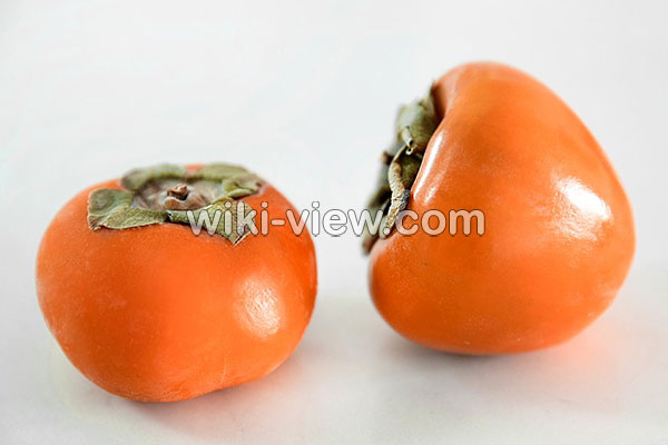 خرمالو, خواص خرمالو, مضرات خرمالو, طبع خرمالو, خرمالو در بارداری, خواص خرمالو برای کودکان, خواص خرمالو برای پوست, ماسک خرمالو, کاشت خرمالو, فصل برداشت خرمالو, خواص خرمالو خشک شده خرمالو, خواص خرمالو, مضرات خرمالو, طبع خرمالو, خرمالو در بارداری, خواص خرمالو برای کودکان, خواص خرمالو برای پوست, ماسک خرمالو, کاشت خرمالو, فصل برداشت خرمالو, خواص خرمالو خشک شده