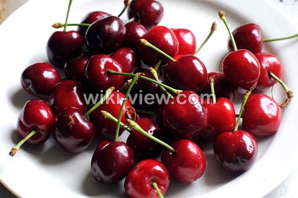 آلبالو, خواص آلبالو, مضرات آلبالو, طبع آلبالو, خواص آلبالو خشک, خواص آلبالو در دوران بارداری, خواص چای آلبالو, خواص آلبالو یخ زده, خواص چوب آلبالو, تفاوت آلبالو و گیلاس, خواص آلبالو برای کبد آلبالو, خواص آلبالو, مضرات آلبالو, طبع آلبالو, خواص آلبالو خشک, خواص آلبالو در دوران بارداری, خواص چای آلبالو, خواص آلبالو یخ زده, خواص چوب آلبالو, تفاوت آلبالو و گیلاس, خواص آلبالو برای کبد