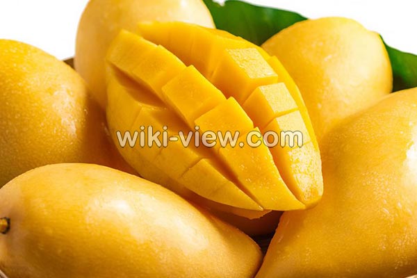 انبه, خواص انبه, مضرات انبه, طبع انبه, هسته انبه, خواص انبه برای پوست, خواص انبه برای کودکان, انبه در بارداری, انبه سبز, خواص شیر انبه انبه, خواص انبه, مضرات انبه, طبع انبه, هسته انبه, خواص انبه برای پوست, خواص انبه برای کودکان, انبه در بارداری, انبه سبز, خواص شیر انبه