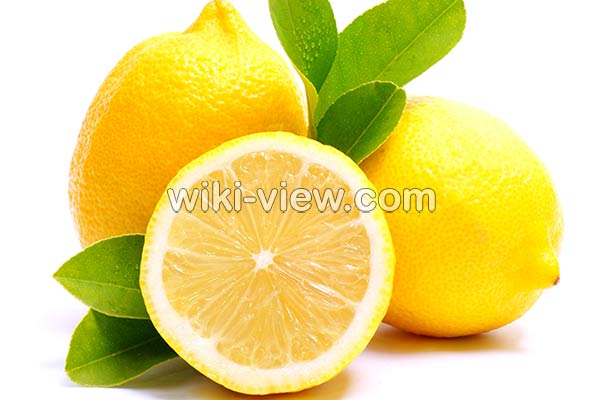 لیمو شیرین, خواص لیمو شیرین در طب سنتی, مضرات لیمو شیرین, طبع لیمو شیرین, لیمو شیرین و فشار خون, خواص لیمو شیرین برای کودکان, خواص لیمو شیرین برای کبد, خواص بهار لیمو شیرین, لیمو شیرین در بارداری لیمو شیرین, خواص لیمو شیرین در طب سنتی, مضرات لیمو شیرین, طبع لیمو شیرین, لیمو شیرین و فشار خون, خواص لیمو شیرین برای کودکان, خواص لیمو شیرین برای کبد, خواص بهار لیمو شیرین, لیمو شیرین در بارداری