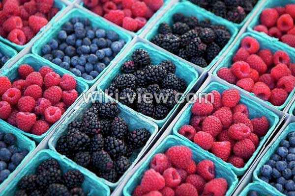 تمشک, خواص تمشک, مضرات تمشک, طبع تمشک, فرق تمشک و شاتوت, فصل تمشک, خواص تمشک برای زن باردار, خواص عرق تمشک, خواص تمشک آبی, رب تمشک, خواص برگ تمشک سیاه تمشک, خواص تمشک, مضرات تمشک, طبع تمشک, فرق تمشک و شاتوت, فصل تمشک, خواص تمشک برای زن باردار, خواص عرق تمشک, خواص تمشک آبی, رب تمشک, خواص برگ تمشک سیاه