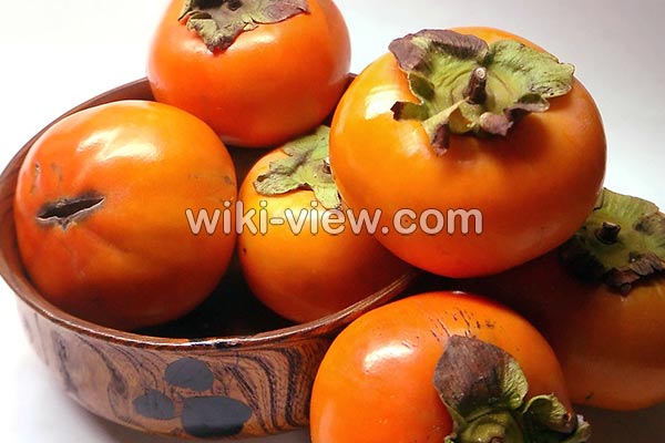 خرمالو, خواص خرمالو, مضرات خرمالو, طبع خرمالو, خرمالو در بارداری, خواص خرمالو برای کودکان, خواص خرمالو برای پوست, ماسک خرمالو, کاشت خرمالو, فصل برداشت خرمالو, خواص خرمالو خشک شده خرمالو, خواص خرمالو, مضرات خرمالو, طبع خرمالو, خرمالو در بارداری, خواص خرمالو برای کودکان, خواص خرمالو برای پوست, ماسک خرمالو, کاشت خرمالو, فصل برداشت خرمالو, خواص خرمالو خشک شده