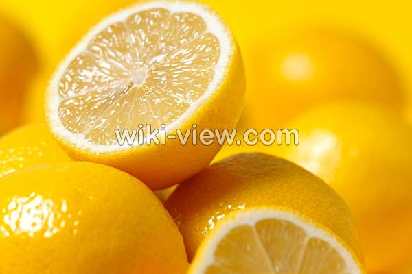 لیمو شیرین, خواص لیمو شیرین در طب سنتی, مضرات لیمو شیرین, طبع لیمو شیرین, لیمو شیرین و فشار خون, خواص لیمو شیرین برای کودکان, خواص لیمو شیرین برای کبد, خواص بهار لیمو شیرین, لیمو شیرین در بارداری لیمو شیرین, خواص لیمو شیرین در طب سنتی, مضرات لیمو شیرین, طبع لیمو شیرین, لیمو شیرین و فشار خون, خواص لیمو شیرین برای کودکان, خواص لیمو شیرین برای کبد, خواص بهار لیمو شیرین, لیمو شیرین در بارداری