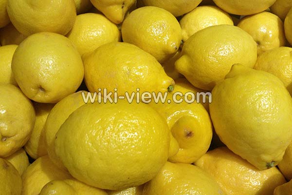 لیمو شیرین, خواص لیمو شیرین در طب سنتی, مضرات لیمو شیرین, طبع لیمو شیرین, لیمو شیرین و فشار خون, خواص لیمو شیرین برای کودکان, خواص لیمو شیرین برای کبد, خواص بهار لیمو شیرین, لیمو شیرین در بارداری لیمو شیرین, خواص لیمو شیرین در طب سنتی, مضرات لیمو شیرین, طبع لیمو شیرین, لیمو شیرین و فشار خون, خواص لیمو شیرین برای کودکان, خواص لیمو شیرین برای کبد, خواص بهار لیمو شیرین, لیمو شیرین در بارداری