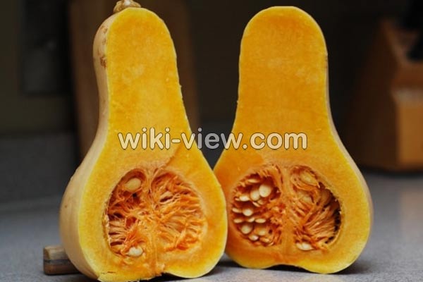 کدو حلوایی, خواص کدو حلوایی, مضرات کدو حلوایی, طبع کدو حلوایی, کدو حلوایی در بارداری, پخت کدو حلوایی, فرق کدو حلوایی و کدو تنبل, کالری کدو حلوایی, خواص کدو حلوایی در لاغری کدو حلوایی, خواص کدو حلوایی, مضرات کدو حلوایی, طبع کدو حلوایی, کدو حلوایی در بارداری, پخت کدو حلوایی, فرق کدو حلوایی و کدو تنبل, کالری کدو حلوایی, خواص کدو حلوایی در لاغری