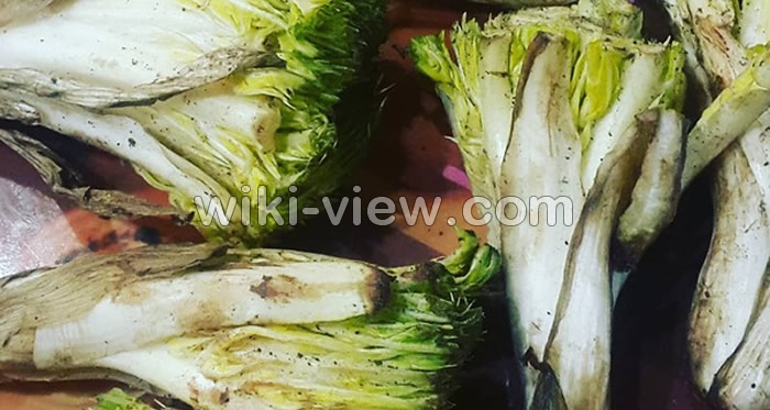 کنگر, عکس کنگر, خواص کنگر, مضرات کنگر, طبع کنگر در طب سنتی, خواص کنگر در بارداری, خواص کنگر برای لاغری, خواص عرق کنگر, خواص کنگر خشک شده, کنگر فرنگی, غذا با کنگر فرنگی, کنگر فرنگی را چگونه استفاده کنیم؟ کنگر, عکس کنگر, خواص کنگر, مضرات کنگر, طبع کنگر در طب سنتی, خواص کنگر در بارداری, خواص کنگر برای لاغری, خواص عرق کنگر, خواص کنگر خشک شده, کنگر فرنگی, غذا با کنگر فرنگی, کنگر فرنگی را چگونه استفاده کنیم؟