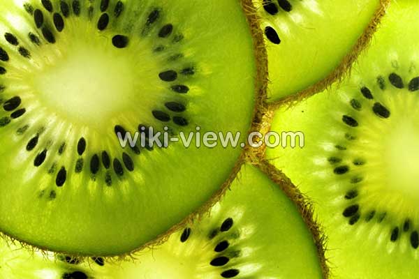 کیوی, خواص کیوی, مضرات کیوی, طبع کیوی, خواص کیوی برای پوست, خواص کیوی برای چشم, خواص کیوی برای یبوست, خواص کیوی برای لاغری, خواص کیوی برای مو, کاشت کیوی, خواص کیوی خشک کیوی, خواص کیوی, مضرات کیوی, طبع کیوی, خواص کیوی برای پوست, خواص کیوی برای چشم, خواص کیوی برای یبوست, خواص کیوی برای لاغری, خواص کیوی برای مو, کاشت کیوی, خواص کیوی خشک