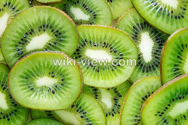 کیوی, خواص کیوی, مضرات کیوی, طبع کیوی, خواص کیوی برای پوست, خواص کیوی برای چشم, خواص کیوی برای یبوست, خواص کیوی برای لاغری, خواص کیوی برای مو, کاشت کیوی, خواص کیوی خشک کیوی, خواص کیوی, مضرات کیوی, طبع کیوی, خواص کیوی برای پوست, خواص کیوی برای چشم, خواص کیوی برای یبوست, خواص کیوی برای لاغری, خواص کیوی برای مو, کاشت کیوی, خواص کیوی خشک