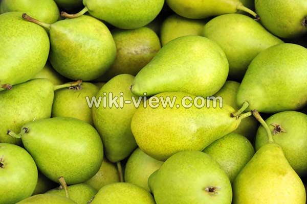 گلابی, خواص گلابی, مضرات گلابی, طبع گلابی, خواص گلابی برای قلب, فصل گلابی, خواص گلابی در لاغری, خواص گلابی خشک شده, خواص گلابی در طب اسلامی, نام دیگر گلابی گلابی, خواص گلابی, مضرات گلابی, طبع گلابی, خواص گلابی برای قلب, فصل گلابی, خواص گلابی در لاغری, خواص گلابی خشک شده, خواص گلابی در طب اسلامی, نام دیگر گلابی