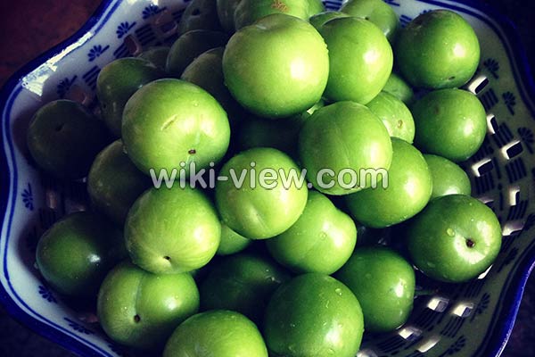گوجه سبز, خواص گوجه سبز, مضرات گوجه سبز, طبع گوجه سبز, خواص گوجه سبز برای پوست, فصل گوجه سبز, خواص گوجه سبز برای کبد, گوجه سبز در بارداری, گوجه سبز و فشار خون