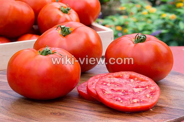 گوجه فرنگی, خواص گوجه فرنگی, مضرات گوجه فرنگی, طبع گوجه فرنگی, خواص گوجه فرنگی در بدنسازی, گوجه فرنگی در بارداری, گوجه فرنگی برای کلیه, خواص گوجه فرنگی برای قلب, خواص گوجه فرنگی در لاغری گوجه فرنگی, خواص گوجه فرنگی, مضرات گوجه فرنگی, طبع گوجه فرنگی, خواص گوجه فرنگی در بدنسازی, گوجه فرنگی در بارداری, گوجه فرنگی برای کلیه, خواص گوجه فرنگی برای قلب, خواص گوجه فرنگی در لاغری