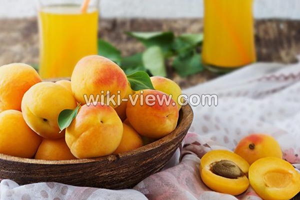زردآلو, خواص زردآلو, مضرات زردآلو, طبع زردآلو, زردآلو خشک, مضرات هسته زردآلو, هسته زردآلو سرطان, خواص زردآلو برای پوست, زردآلو و دیابت, زردآلو خشک برای یبوست زردآلو, خواص زردآلو, مضرات زردآلو, طبع زردآلو, زردآلو خشک, مضرات هسته زردآلو, هسته زردآلو سرطان, خواص زردآلو برای پوست, زردآلو و دیابت, زردآلو خشک برای یبوست