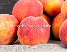 شفتالو : خواص, مضرات و طبع شفتالو / شفتالو سبز / خواص شفتالو سفید