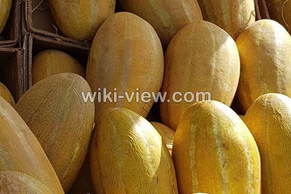 خربزه, خواص خربزه, مضرات خربزه, طبع خربزه, انواع خربزه, خربزه در بارداری, خواص خربزه برای لاغری, فواید خربزه برای چشم, خواص خربزه مشهدی, خربزه و عسل