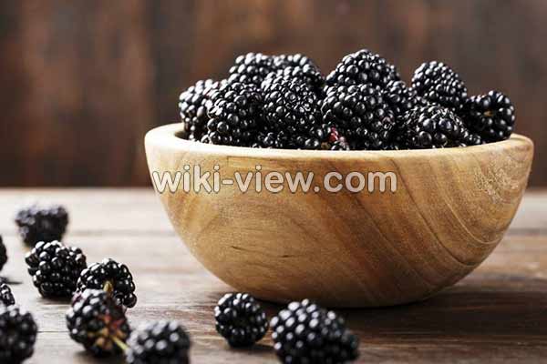 شاتوت, خواص شاتوت, مضرات شاتوت, طبع شاتوت چیست, شاتوت در بارداری, خواص برگ شاتوت برای پوست, چای شاتوت, شربت شاتوت, مربای شاتوت