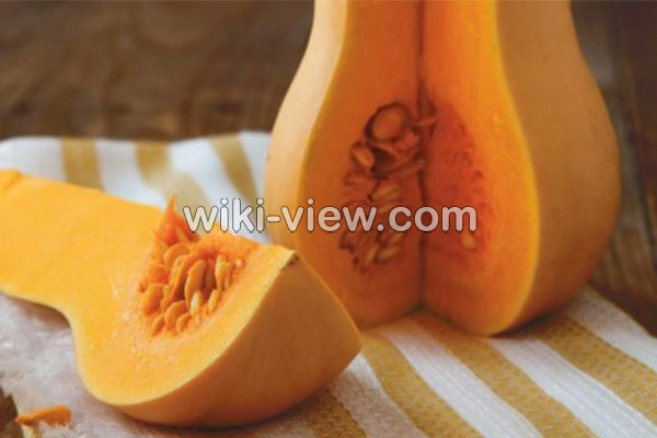 کدو حلوایی, خواص کدو حلوایی, مضرات کدو حلوایی, طبع کدو حلوایی, کدو حلوایی در بارداری, پخت کدو حلوایی, فرق کدو حلوایی و کدو تنبل, کالری کدو حلوایی, خواص کدو حلوایی در لاغری کدو حلوایی, خواص کدو حلوایی, مضرات کدو حلوایی, طبع کدو حلوایی, کدو حلوایی در بارداری, پخت کدو حلوایی, فرق کدو حلوایی و کدو تنبل, کالری کدو حلوایی, خواص کدو حلوایی در لاغری