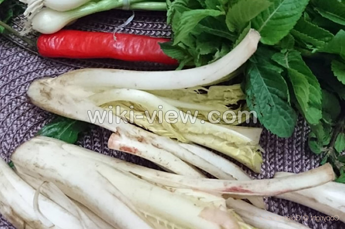 کنگر, عکس کنگر, خواص کنگر, مضرات کنگر, طبع کنگر در طب سنتی, خواص کنگر در بارداری, خواص کنگر برای لاغری, خواص عرق کنگر, خواص کنگر خشک شده, کنگر فرنگی, غذا با کنگر فرنگی, کنگر فرنگی را چگونه استفاده کنیم؟ کنگر, عکس کنگر, خواص کنگر, مضرات کنگر, طبع کنگر در طب سنتی, خواص کنگر در بارداری, خواص کنگر برای لاغری, خواص عرق کنگر, خواص کنگر خشک شده, کنگر فرنگی, غذا با کنگر فرنگی, کنگر فرنگی را چگونه استفاده کنیم؟