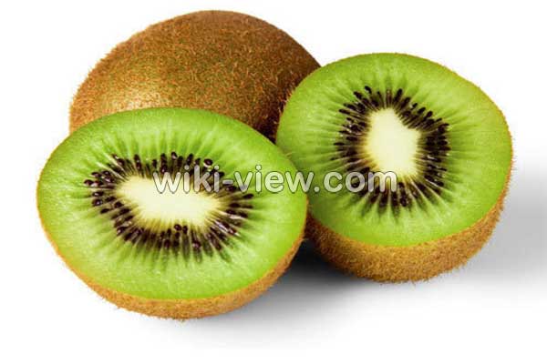 کیوی, خواص کیوی, مضرات کیوی, طبع کیوی, خواص کیوی برای پوست, خواص کیوی برای چشم, خواص کیوی برای یبوست, خواص کیوی برای لاغری, خواص کیوی برای مو, کاشت کیوی, خواص کیوی خشک کیوی, خواص کیوی, مضرات کیوی, طبع کیوی, خواص کیوی برای پوست, خواص کیوی برای چشم, خواص کیوی برای یبوست, خواص کیوی برای لاغری, خواص کیوی برای مو, کاشت کیوی, خواص کیوی خشک