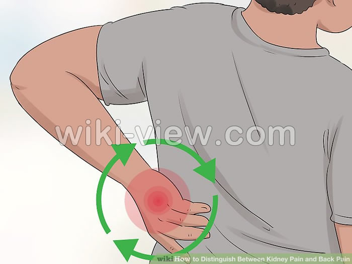 سنگ کلیه, سنگ کلیه چیست, علائم دقیق سنگ کلیه, انواع سنگ کلیه, اندازه سنگ کلیه, قرص دفع سنگ کلیه, علائم دفع سنگ کلیه, راه خانگی دفع سنگ کلیه, درمان سنگ کلیه بزرگ سنگ کلیه, سنگ کلیه چیست, علائم دقیق سنگ کلیه, انواع سنگ کلیه, اندازه سنگ کلیه, قرص دفع سنگ کلیه, علائم دفع سنگ کلیه, راه خانگی دفع سنگ کلیه, درمان سنگ کلیه بزرگ