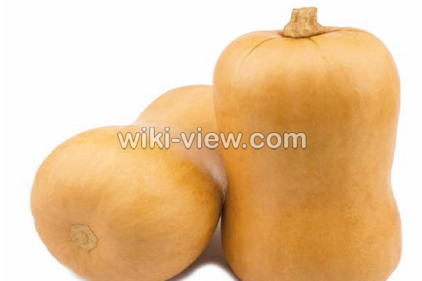 کدو حلوایی, خواص کدو حلوایی, مضرات کدو حلوایی, طبع کدو حلوایی, کدو حلوایی در بارداری, پخت کدو حلوایی, فرق کدو حلوایی و کدو تنبل, کالری کدو حلوایی, خواص کدو حلوایی در لاغری کدو حلوایی, خواص کدو حلوایی, مضرات کدو حلوایی, طبع کدو حلوایی, کدو حلوایی در بارداری, پخت کدو حلوایی, فرق کدو حلوایی و کدو تنبل, کالری کدو حلوایی, خواص کدو حلوایی در لاغری