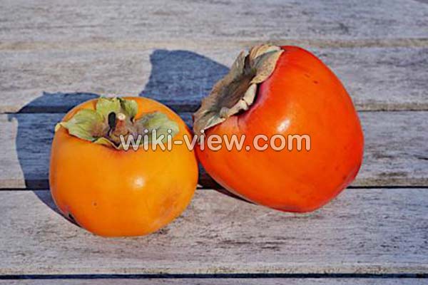 خرمالو, خواص خرمالو, مضرات خرمالو, طبع خرمالو, خرمالو در بارداری, خواص خرمالو برای کودکان, خواص خرمالو برای پوست, ماسک خرمالو, کاشت خرمالو, فصل برداشت خرمالو, خواص خرمالو خشک شده خرمالو, خواص خرمالو, مضرات خرمالو, طبع خرمالو, خرمالو در بارداری, خواص خرمالو برای کودکان, خواص خرمالو برای پوست, ماسک خرمالو, کاشت خرمالو, فصل برداشت خرمالو, خواص خرمالو خشک شده