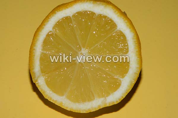 لیمو شیرین, خواص لیمو شیرین در طب سنتی, مضرات لیمو شیرین, طبع لیمو شیرین, لیمو شیرین و فشار خون, خواص لیمو شیرین برای کودکان, خواص لیمو شیرین برای کبد, خواص بهار لیمو شیرین, لیمو شیرین در بارداری لیمو شیرین, خواص لیمو شیرین در طب سنتی, مضرات لیمو شیرین, طبع لیمو شیرین, لیمو شیرین و فشار خون, خواص لیمو شیرین برای کودکان, خواص لیمو شیرین برای کبد, خواص بهار لیمو شیرین, لیمو شیرین در بارداری