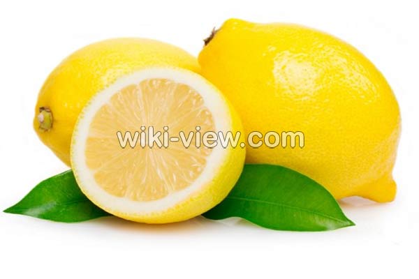 لیمو شیرین, خواص لیمو شیرین در طب سنتی, مضرات لیمو شیرین, طبع لیمو شیرین, لیمو شیرین و فشار خون, خواص لیمو شیرین برای کودکان, خواص لیمو شیرین برای کبد, خواص بهار لیمو شیرین, لیمو شیرین در بارداری لیمو شیرین, خواص لیمو شیرین در طب سنتی, مضرات لیمو شیرین, طبع لیمو شیرین, لیمو شیرین و فشار خون, خواص لیمو شیرین برای کودکان, خواص لیمو شیرین برای کبد, خواص بهار لیمو شیرین, لیمو شیرین در بارداری