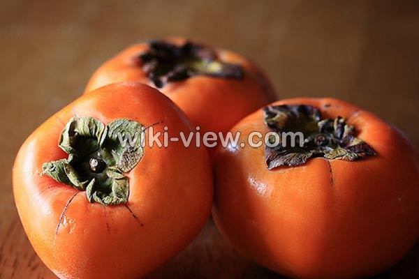 خرمالو, خواص خرمالو, مضرات خرمالو, طبع خرمالو, خرمالو در بارداری, خواص خرمالو برای کودکان, خواص خرمالو برای پوست, ماسک خرمالو, کاشت خرمالو, فصل برداشت خرمالو, خواص خرمالو خشک شده خرمالو, خواص خرمالو, مضرات خرمالو, طبع خرمالو, خرمالو در بارداری, خواص خرمالو برای کودکان, خواص خرمالو برای پوست, ماسک خرمالو, کاشت خرمالو, فصل برداشت خرمالو, خواص خرمالو خشک شده