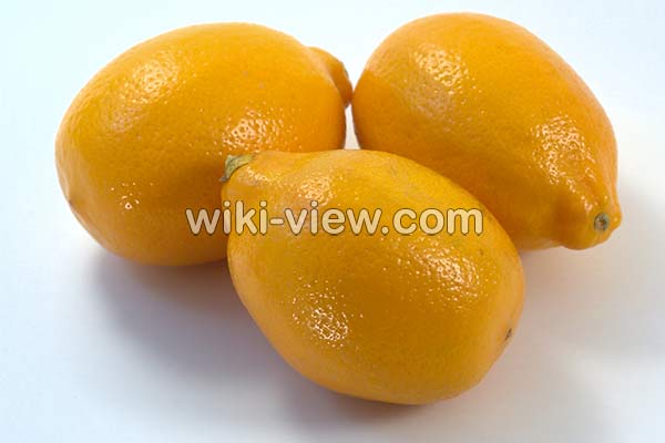لیمو شیرین, خواص لیمو شیرین در طب سنتی, مضرات لیمو شیرین, طبع لیمو شیرین, لیمو شیرین و فشار خون, خواص لیمو شیرین برای کودکان, خواص لیمو شیرین برای کبد, خواص بهار لیمو شیرین, لیمو شیرین در بارداری لیمو شیرین, خواص لیمو شیرین در طب سنتی, مضرات لیمو شیرین, طبع لیمو شیرین, لیمو شیرین و فشار خون, خواص لیمو شیرین برای کودکان, خواص لیمو شیرین برای کبد, خواص بهار لیمو شیرین, لیمو شیرین در بارداری