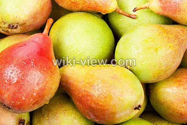 گلابی, خواص گلابی, مضرات گلابی, طبع گلابی, خواص گلابی برای قلب, فصل گلابی, خواص گلابی در لاغری, خواص گلابی خشک شده, خواص گلابی در طب اسلامی, نام دیگر گلابی گلابی, خواص گلابی, مضرات گلابی, طبع گلابی, خواص گلابی برای قلب, فصل گلابی, خواص گلابی در لاغری, خواص گلابی خشک شده, خواص گلابی در طب اسلامی, نام دیگر گلابی