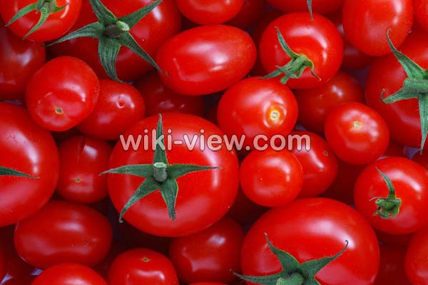گوجه فرنگی, خواص گوجه فرنگی, مضرات گوجه فرنگی, طبع گوجه فرنگی, خواص گوجه فرنگی در بدنسازی, گوجه فرنگی در بارداری, گوجه فرنگی برای کلیه, خواص گوجه فرنگی برای قلب, خواص گوجه فرنگی در لاغری گوجه فرنگی, خواص گوجه فرنگی, مضرات گوجه فرنگی, طبع گوجه فرنگی, خواص گوجه فرنگی در بدنسازی, گوجه فرنگی در بارداری, گوجه فرنگی برای کلیه, خواص گوجه فرنگی برای قلب, خواص گوجه فرنگی در لاغری